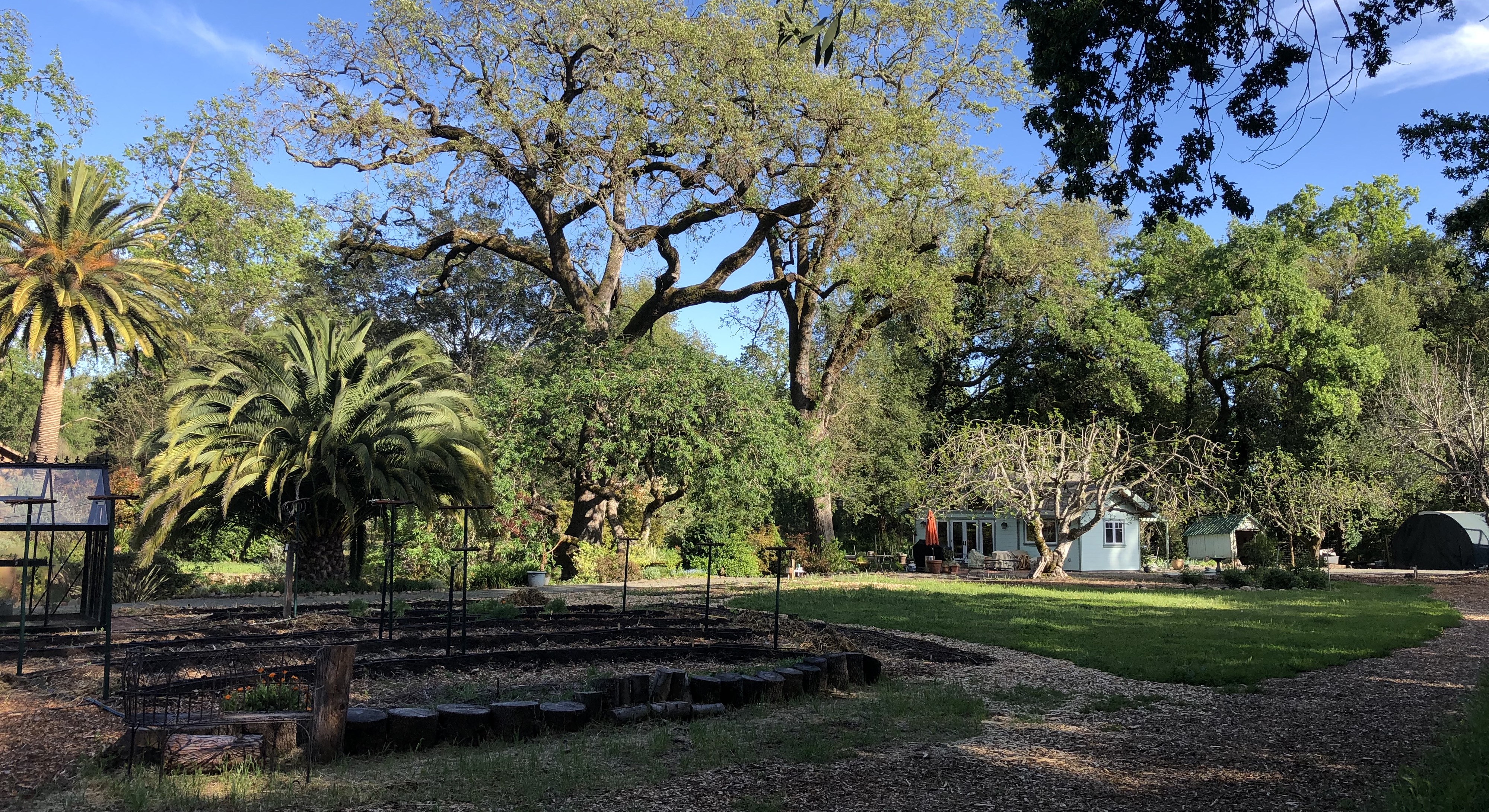 background banner of my personal garden